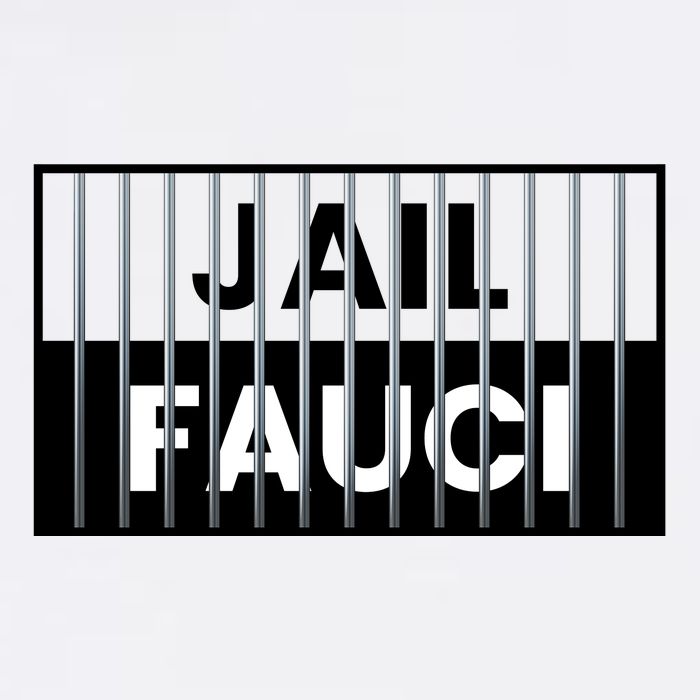 Jail Fauci Funny Fauci For Jail Mesh Reversible Basketball Jersey Tank