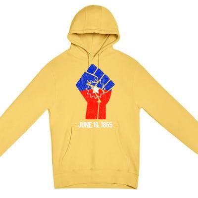 Junenth Fist Freedom Day Flag Black History Remembrance Gift Premium Pullover Hoodie