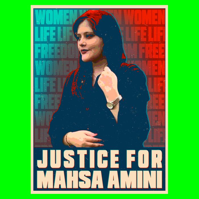 Justice For Mahsa Amini Women Life Freedom Vintage Poster Long Sleeve Shirt