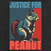 Justice For Peanut The Squirrel Peanut Squirrel Garment-Dyed Fleece Hoodie