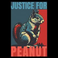 Justice For Peanut The Squirrel Peanut Squirrel 16 in Basic Backpack