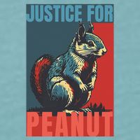 Justice For Peanut The Squirrel Peanut Squirrel Sueded Cloud Jersey T-Shirt