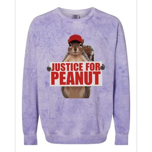 Justice For Peanut The Squirrel Vote For Trump 2024 Colorblast Crewneck Sweatshirt