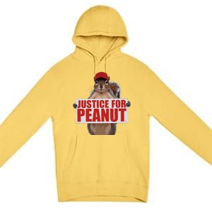 Justice For Peanut The Squirrel Vote For Trump 2024 Premium Pullover Hoodie