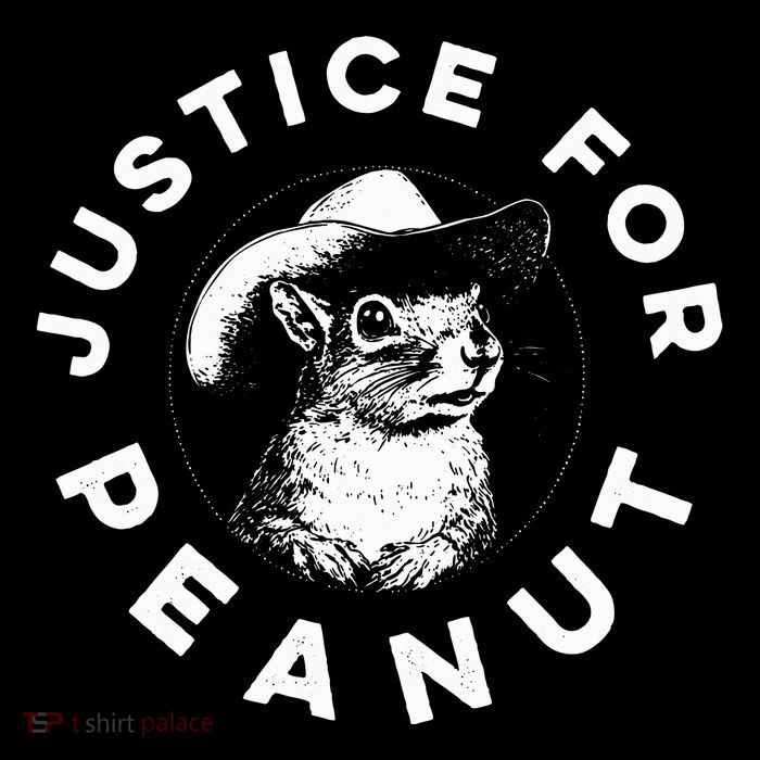 Justice For Peanut The Squirrel Wool Snapback Cap