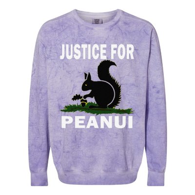 Justice For Peanut Pnut The Squirrel Colorblast Crewneck Sweatshirt