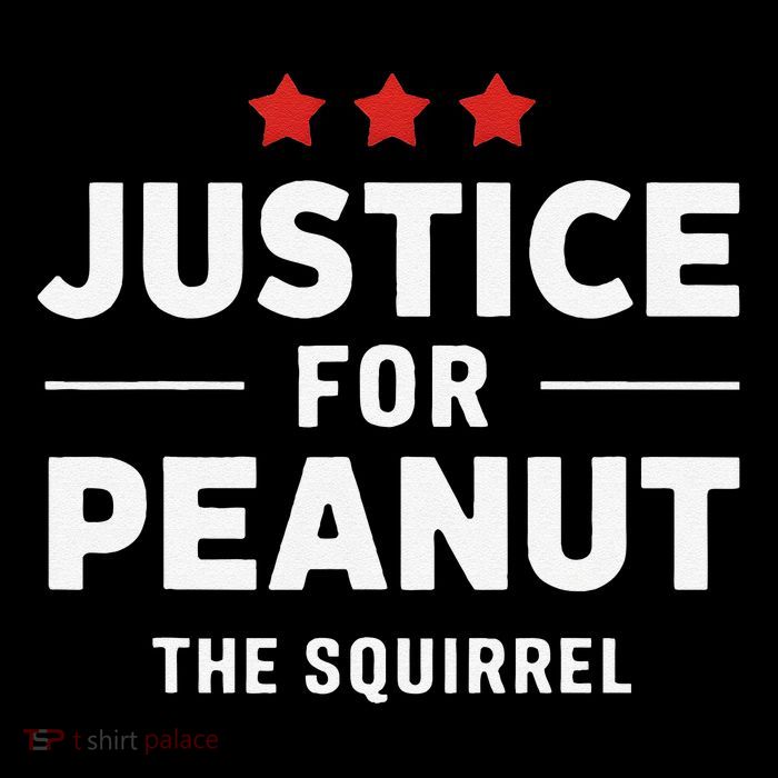 Justice For Peanut The Squirrel Peanut Squirrel Wool Snapback Cap