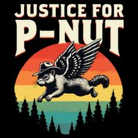 Justice For Peanut Maga Time To Take Out Garbage Fun Poster