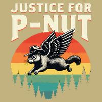 Justice For Peanut Maga Time To Take Out Garbage Fun T-Shirt