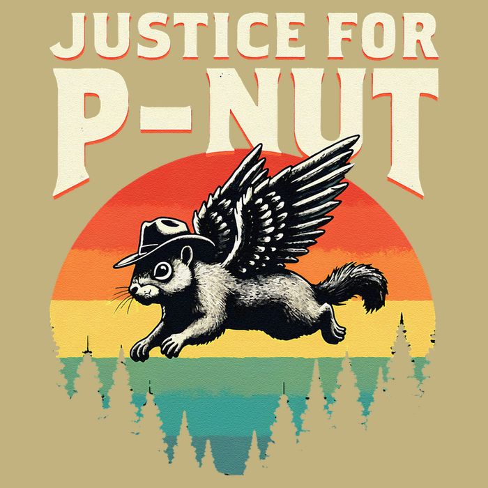 Justice For Peanut Maga Time To Take Out Garbage Fun T-Shirt