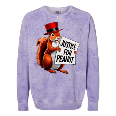 Justice For Peanut The Squirrel Peanut Squirrel Colorblast Crewneck Sweatshirt