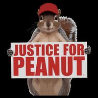 Justice For Peanut The Squirrel Drawstring Bag