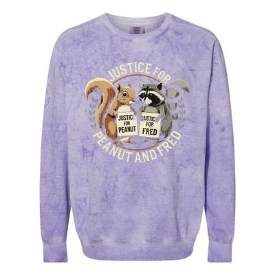 Justice For Peanut And Fred Peanut Squirrel Fred Raccoon Colorblast Crewneck Sweatshirt