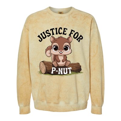 Justice For Pnut Special Squirrel . Pnut Justice Colorblast Crewneck Sweatshirt