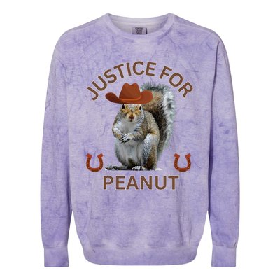 Justice For Peanut The Squirrelanimal Rights Support Colorblast Crewneck Sweatshirt