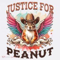Justice For Peanut The Squirrel Peanut Squirrel Wool Snapback Cap