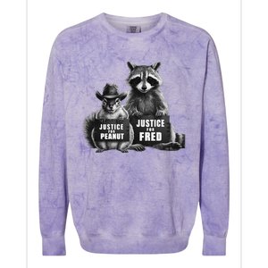 Justice For Peanut The Squirrel And Fred The Raccoon Colorblast Crewneck Sweatshirt