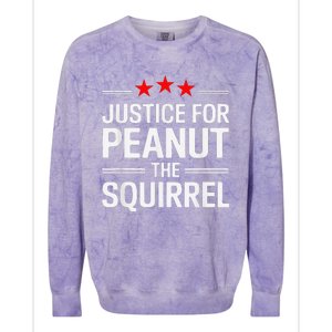 Justice For Peanut The Squirrel Peanut Squirrel Colorblast Crewneck Sweatshirt