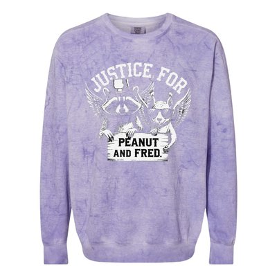 Justice For Peanut Squirrel Fred Raccoon Lover Colorblast Crewneck Sweatshirt