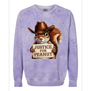 Justice For Peanut The Squirrel Maga Trump 2024 Vote Trump Colorblast Crewneck Sweatshirt