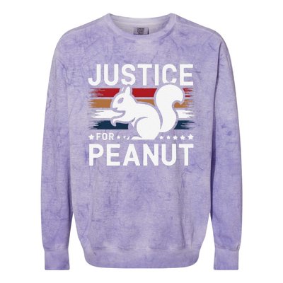 Justice For Peanut The Squirrel The Squirrel Pnut Colorblast Crewneck Sweatshirt