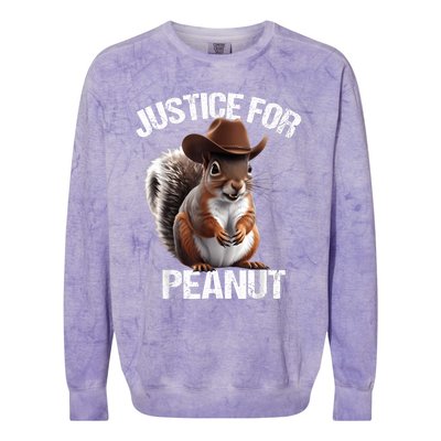 Justice For Peanut The Squirrel Peanut Squirrel Colorblast Crewneck Sweatshirt