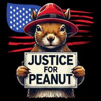 Justice For Peanut The Squirrel Drawstring Bag