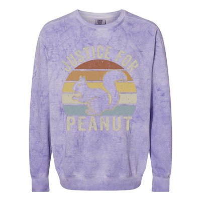 Justice For Peanut The Squirrel The Squirrel Pnut Colorblast Crewneck Sweatshirt