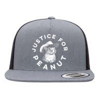 Justice For Peanut The Squirrel Peanut Squirrel Hoodie Flat Bill Trucker Hat