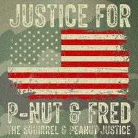 Justice For P Nut And Fred The Squirrel And Peanut Justice Legacy Tie Dye Trucker Hat