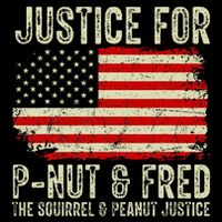 Justice For P Nut And Fred The Squirrel And Peanut Justice T-Shirt