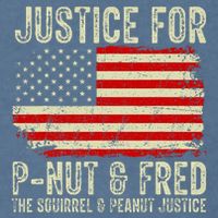 Justice For P Nut And Fred The Squirrel And Peanut Justice Garment-Dyed Sweatshirt