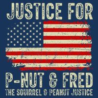 Justice For P Nut And Fred The Squirrel And Peanut Justice Infant Baby Jersey Bodysuit