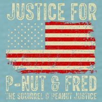 Justice For P Nut And Fred The Squirrel And Peanut Justice Sueded Cloud Jersey T-Shirt
