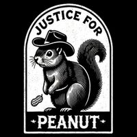 Justice For Peanut The Squirrel Funny Wanted Peanut Squirrel Gift Button
