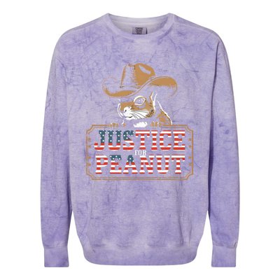 Justice For Peanut The Squirrel Peanut Squirrel Colorblast Crewneck Sweatshirt