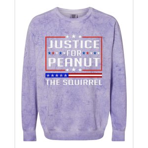 Justice For Peanut The Squirrel Peanut Squirrel Colorblast Crewneck Sweatshirt