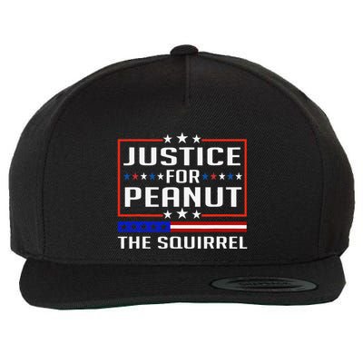 Justice For Peanut The Squirrel Peanut Squirrel Wool Snapback Cap
