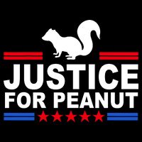 Justice For Peanut The Squirrel 2024 Button