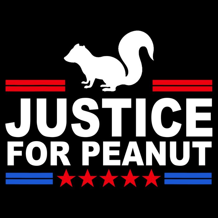 Justice For Peanut The Squirrel 2024 Button