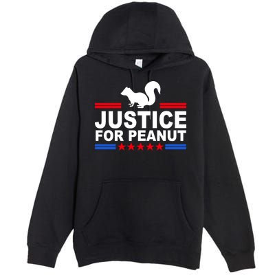 Justice For Peanut The Squirrel 2024 Premium Pullover Hoodie