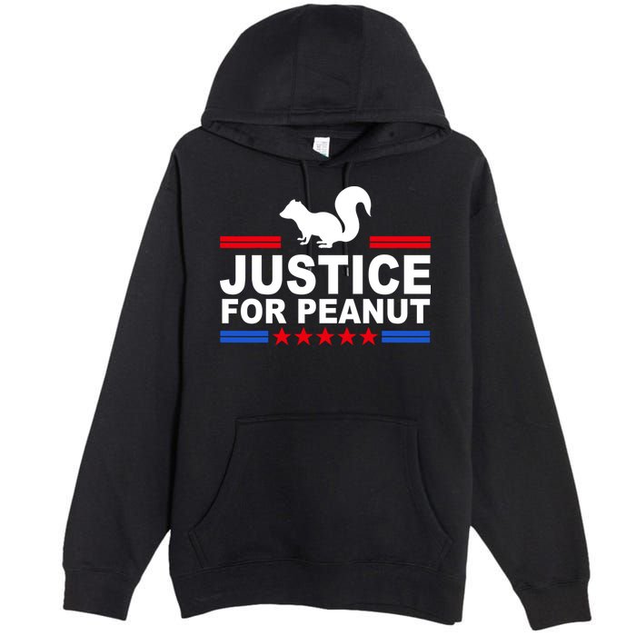 Justice For Peanut The Squirrel 2024 Premium Pullover Hoodie