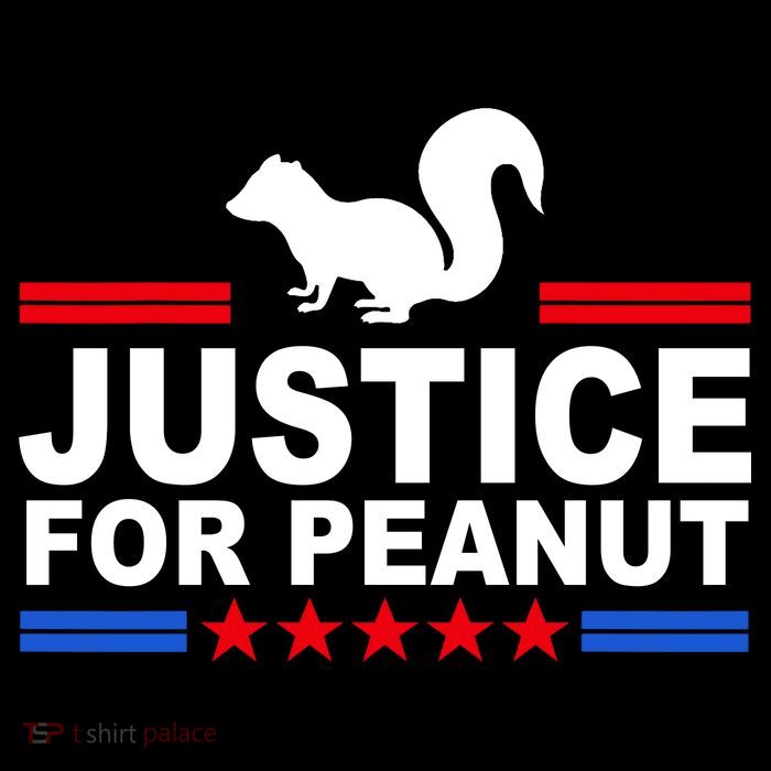 Justice For Peanut The Squirrel 2024 Mousepad