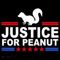 Justice For Peanut The Squirrel 2024 Zip Tote Bag