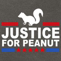 Justice For Peanut The Squirrel 2024 Cotton Canvas Backpack