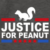 Justice For Peanut The Squirrel 2024 Vector Backpack