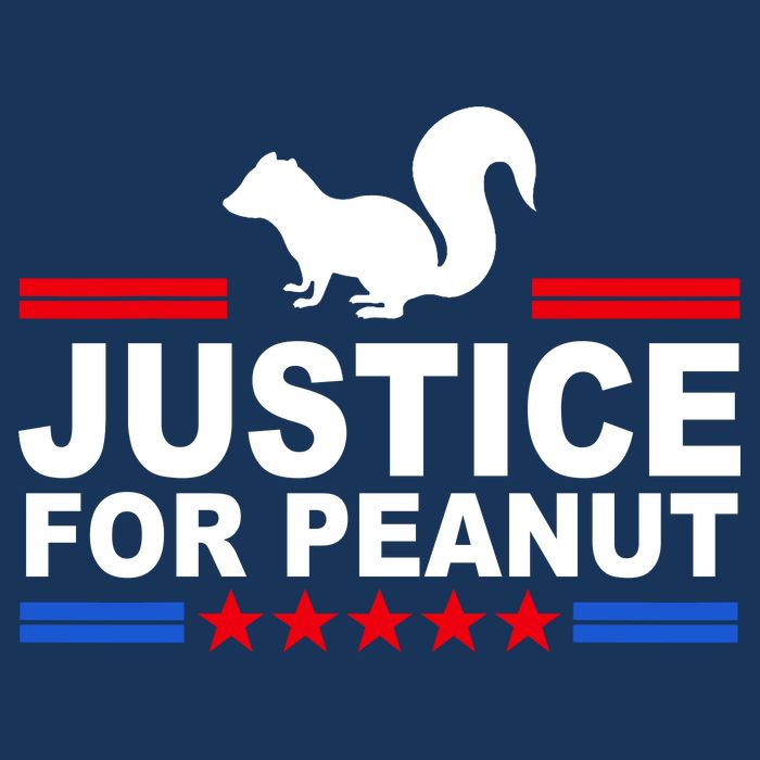 Justice For Peanut The Squirrel 2024 Infant Baby Jersey Bodysuit