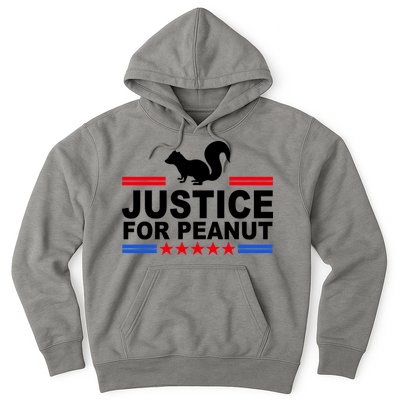 Justice For Peanut The Squirrel 2024 Hoodie
