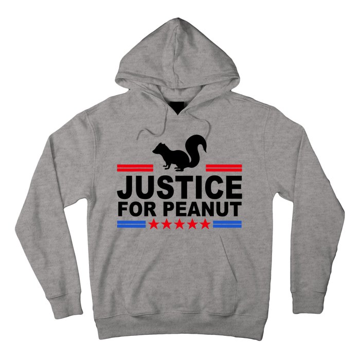 Justice For Peanut The Squirrel 2024 Hoodie