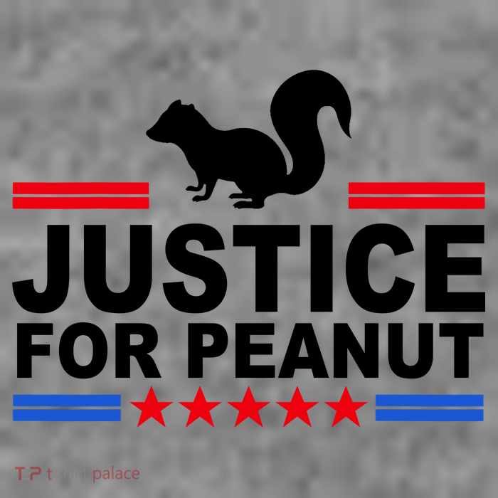 Justice For Peanut The Squirrel 2024 Sweatshirt